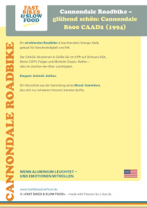 FastBikesSlowFood_Cannondale_Roadbike